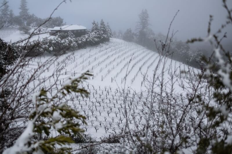 加州罕見大雪 逾10萬人無電可用