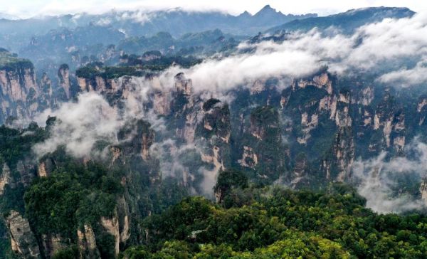 奇峰成林 张家界山水幻化飘飘仙境