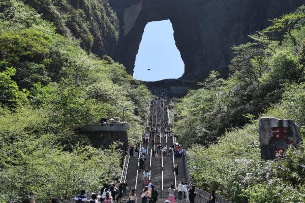 奇峰成林 张家界山水幻化飘飘仙境