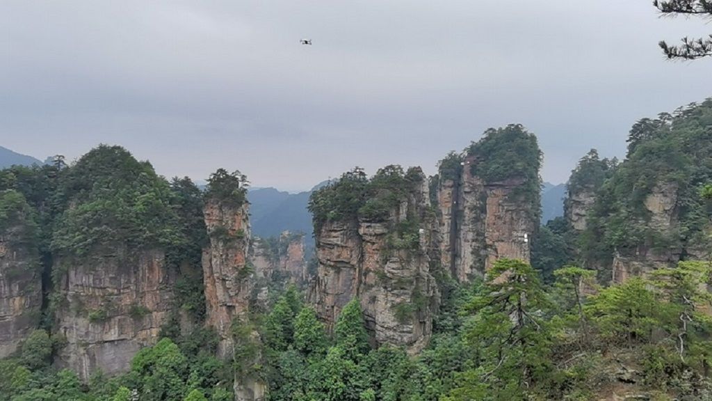 奇峰成林 张家界山水幻化飘飘仙境