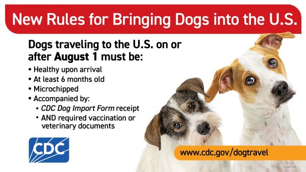 防狂犬病传入 犬只入境美国新规8月实施