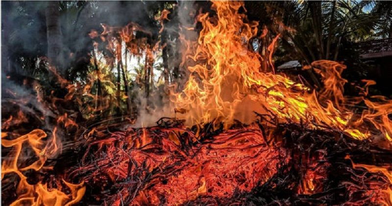 加州消防员竟成「纵火犯」6周内引发5场野火遭逮