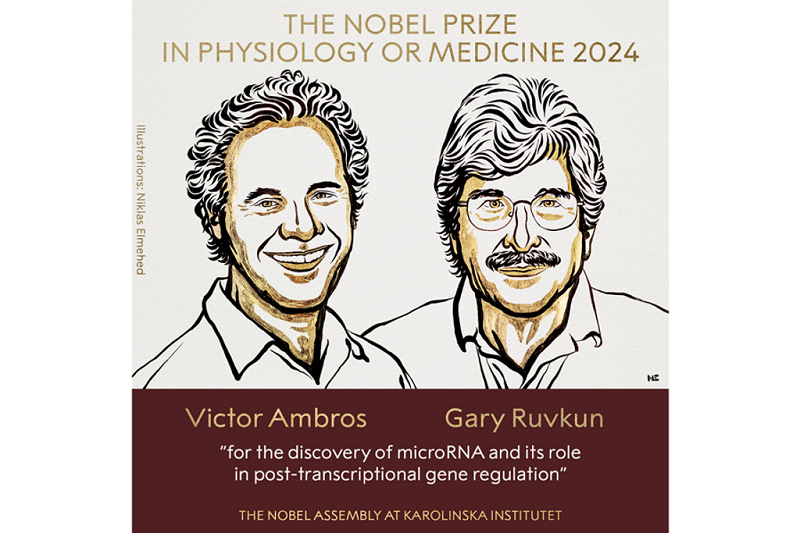諾貝爾醫學獎得主出爐 揭露全新基因調控原理獲表彰