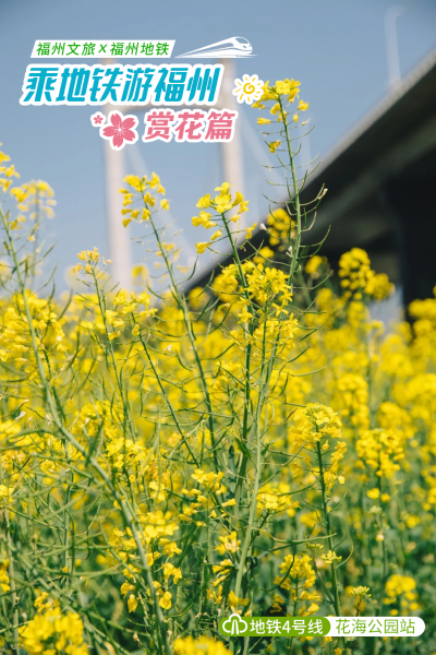 乘地铁游福州，“向花而行”正当时