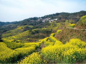 《锦绣河山》邓予立巡回摄影展 维加斯站7/17开幕