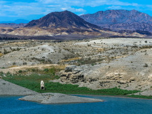 米德湖熱門景點露營地遭破壞 宣布關閉