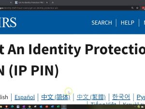 美国税局鼓励纳税人 注册2025年报税季IP PIN